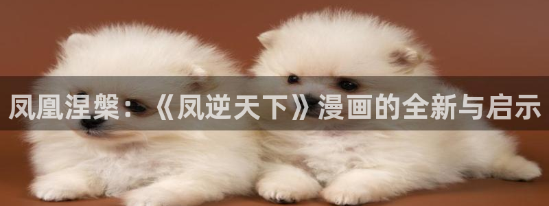 禁漫天堂网址最新：凤凰涅槃：《凤逆天下》漫画的全新与启示