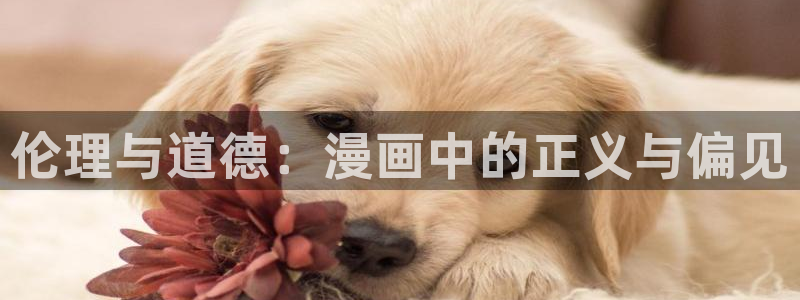 禁漫天堂怎样下载：伦理与道德：漫画中的正义与偏见