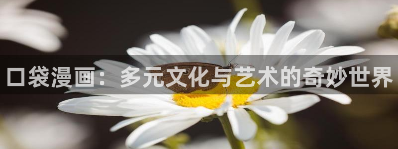 禁漫天堂推荐漫画：口袋漫画：多元文化与艺术的奇妙世界