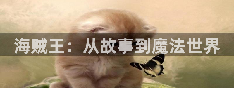 天堂禁漫在线：海贼王：从故事到魔法世界