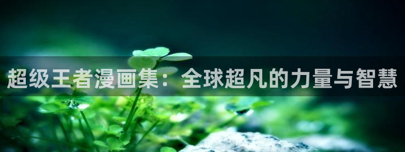 禁天堂漫画18+：超级王者漫画集：全球超凡的力量与智慧